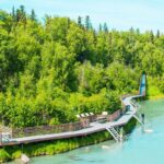 Scenic boardwalk along a river.